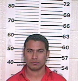 Mendoza Alejandro - Hidalgo County, TX 