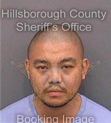Domisiw Dennis - Hillsborough County, FL 