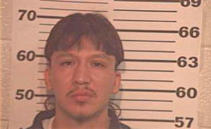Gonzalez Gerardo - Hidalgo County, TX 