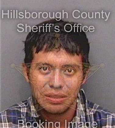 Gomezreyes Josue - Hillsborough County, FL 