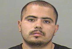 Soto Luis - Dallas County, TX 
