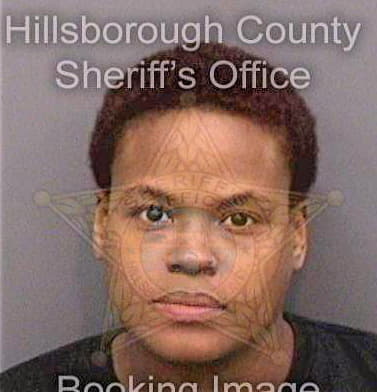 Anderson Erica - Hillsborough County, FL 