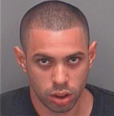 Rodriguez Ricky - Pinellas County, FL 