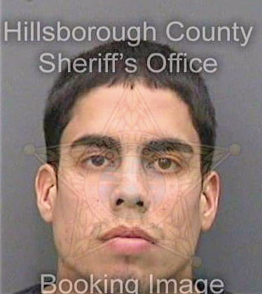 Robles Fabian - Hillsborough County, FL 