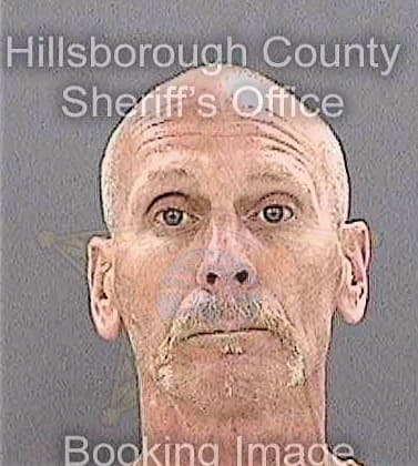 Swart Jay - Hillsborough County, FL 