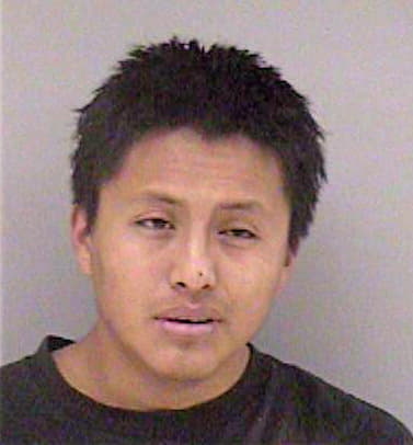 Bravo Simon - Madera County, CA 
