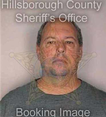 Laraway Vincent - Hillsborough County, FL 