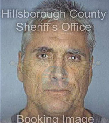Christy David - Hillsborough County, FL 