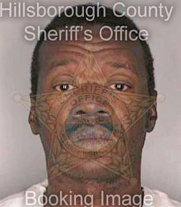 Harvey Johnnie - Hillsborough County, FL 