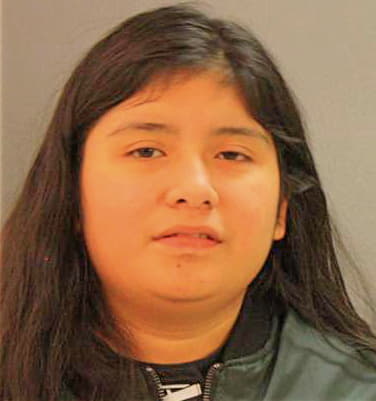 Duarte Joya - Dallas County, TX 