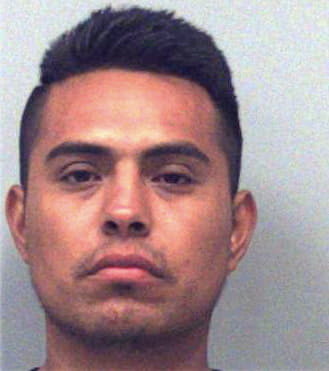 Flores-Gonzales Marco - Gwinnett County, GA 