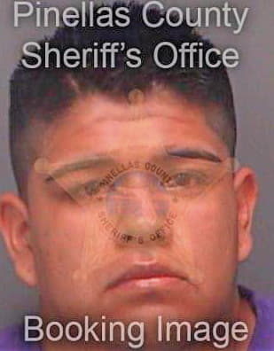 Tlanepantla Sergio - Pinellas County, FL 