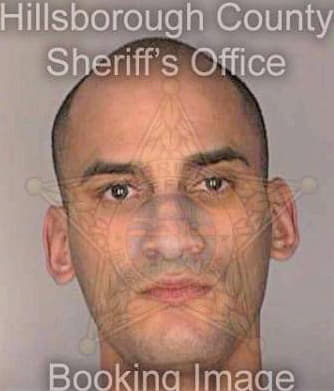 Lopez Wilfredo - Hillsborough County, FL 