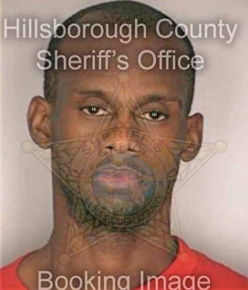 Pitcher Christopher - Hillsborough County, FL 