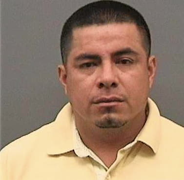 Garcia Equitofel - Hillsborough County, FL 