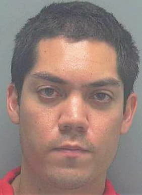Collins Matthew - Lee County, FL 