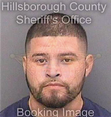 Roque Ramon - Hillsborough County, FL 