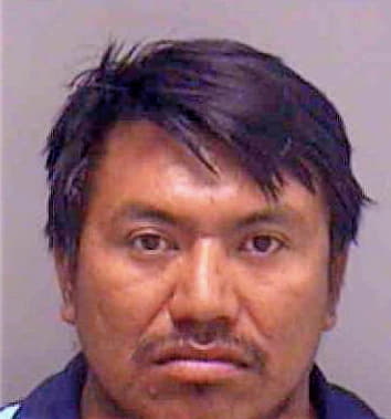 Piche Carlos - Lee County, FL 