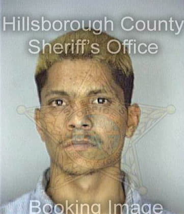 Phillipus Wayne - Hillsborough County, FL 