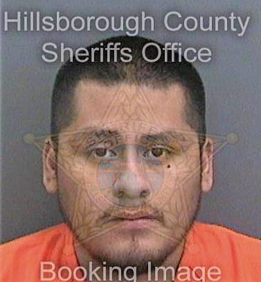 Lopez Fabian - Hillsborough County, FL 
