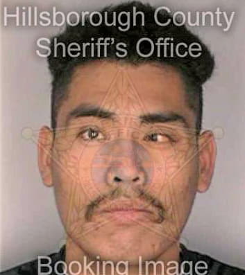 Rendonhernandez Francis - Hillsborough County, FL 