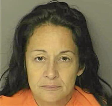 Vigorito Michelle - Horry County, SC 