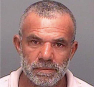 Silva Nelson - Pinellas County, FL 