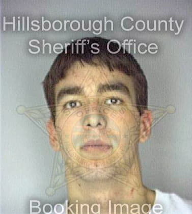 Pak Nicholas - Hillsborough County, FL 
