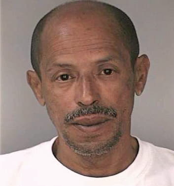 Gonzalez Raul - Hillsborough County, FL 
