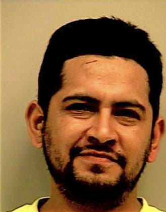 Garcia Ricardo - Gwinnett County, GA 