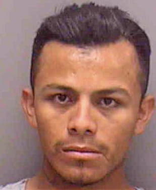 Venancio-Bernabe Abad - Lee County, FL 