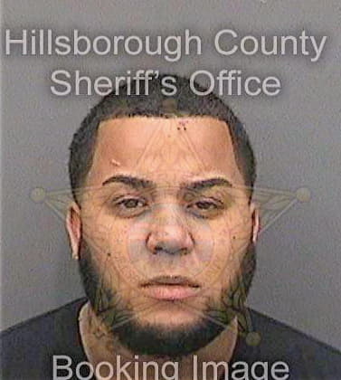 Bazo Derek - Hillsborough County, FL 