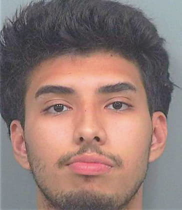 Alvarez Alberto - Gwinnett County, GA 