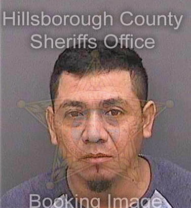 Alvarez Gustavo - Hillsborough County, FL 