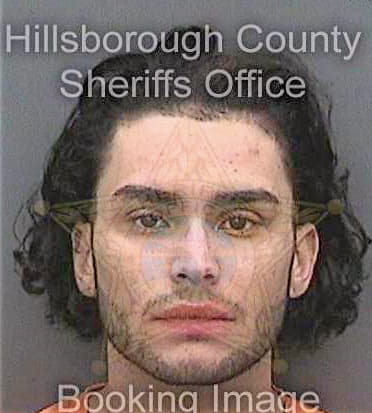 Floreshernandez Kevin - Hillsborough County, FL 