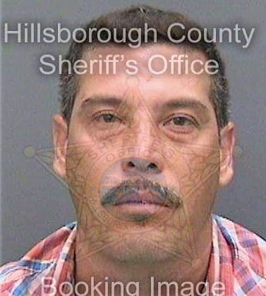 Osoriosalguero Mynor - Hillsborough County, FL 