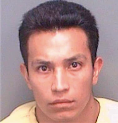 Sanchezvasquez Ramiro - Pinellas County, FL 