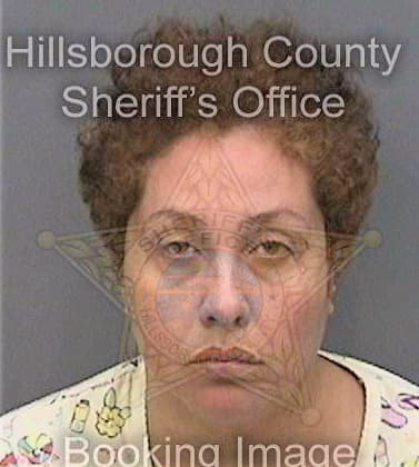 Tineo Adelise - Hillsborough County, FL 