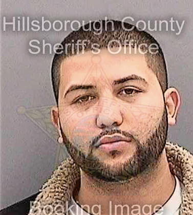 Lozada Anthony - Hillsborough County, FL 