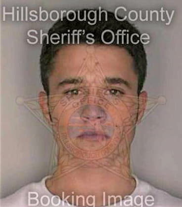 Snead Anthony - Hillsborough County, FL 