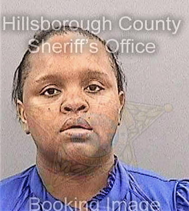 Jones Deshonder - Hillsborough County, FL 
