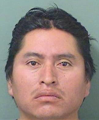 Lopezsontay Raul - PalmBeach County, FL 