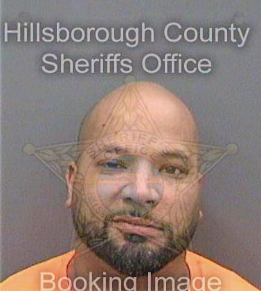Bonano Albert - Hillsborough County, FL 