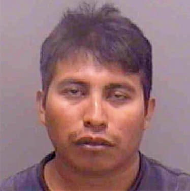 Tomas-Pedro Alfredo - Lee County, FL 