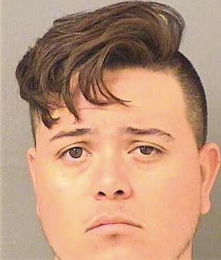 Hernandez Andres - PalmBeach County, FL 