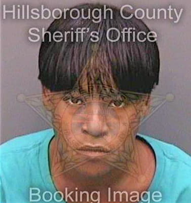 Hernandez Brandi - Hillsborough County, FL 