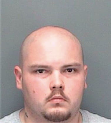Rodriguez Daniel - Pinellas County, FL 