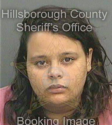Vicente Danielle - Hillsborough County, FL 
