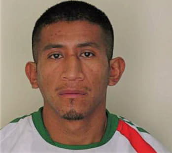 Mendez Nicolas - Hillsborough County, FL 