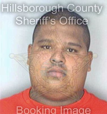 Torres Daniel - Hillsborough County, FL 